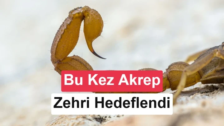 Akrep yakın planı üzerinde “Bu kez akrep zehri hedeflendi” yazısı
