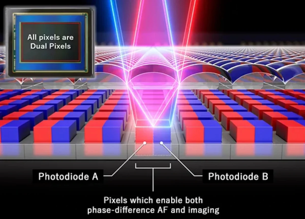 Canon Dual Pixel sensöründeki iki fotodiyotun ışık algılaması ve faz farkıyla otomatik odaklamayı gösteren şema