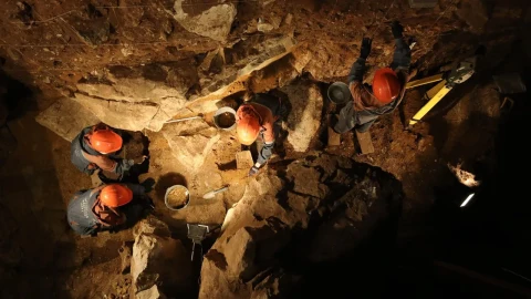Denisova Mağarası’nda 247 bin yıllık yeni bir sığır türü bulundu