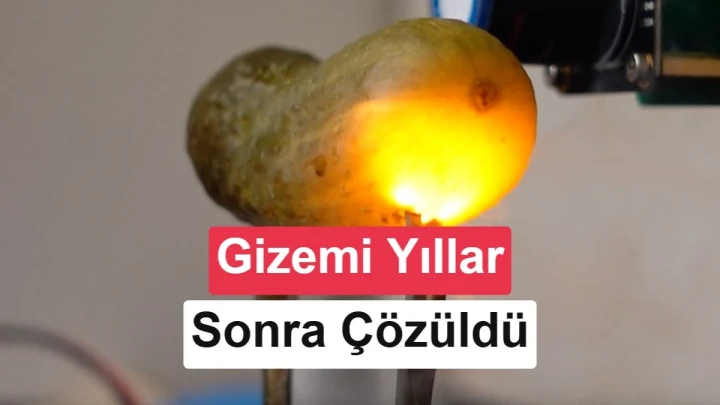 Araştırmacı laboratuvarda elektrik verilen turşu deneyini gösteriyor