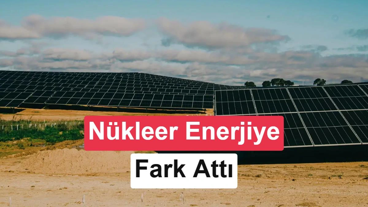 Geniş bir arazide sıralanmış güneş panelleri