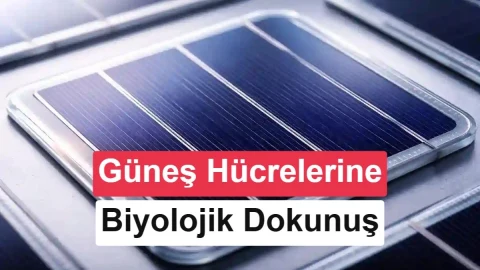Lignin katkısı HJT güneş hücrelerinin verimini yüzde 25,96’ya çıkardı