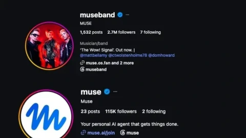 Muse ve Museband adlı iki Instagram hesabının profil bilgilerini gösteren ekran görüntüsü