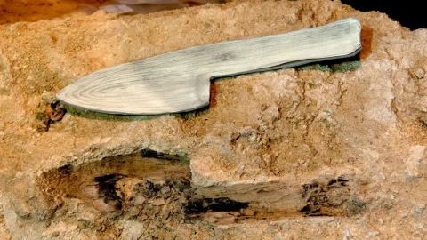 Neandertallerin Ahşap Ustalığı Abric Romaní’deki Bulgularla Ortaya Çıktı