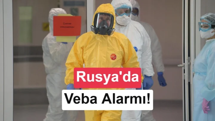 Vebaya neden olan Yersinia pestis bakterisini gösteren mikroskobik görsel
