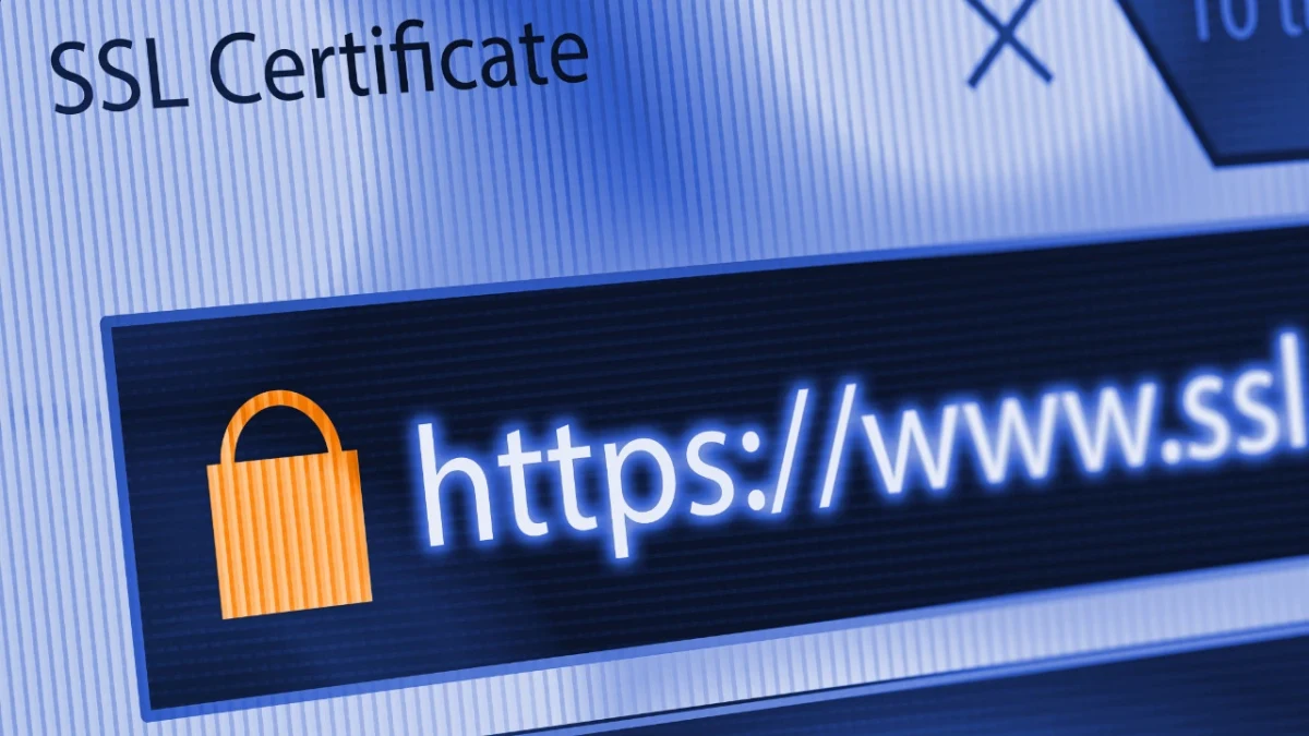 SSL sertifikası ve HTTPS bağlantısını temsil eden kilit simgesi