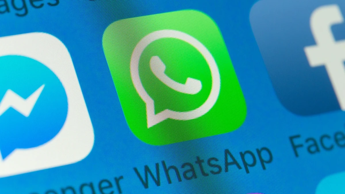 Akıllı telefon ekranında WhatsApp simgesi ve uygulama adı
