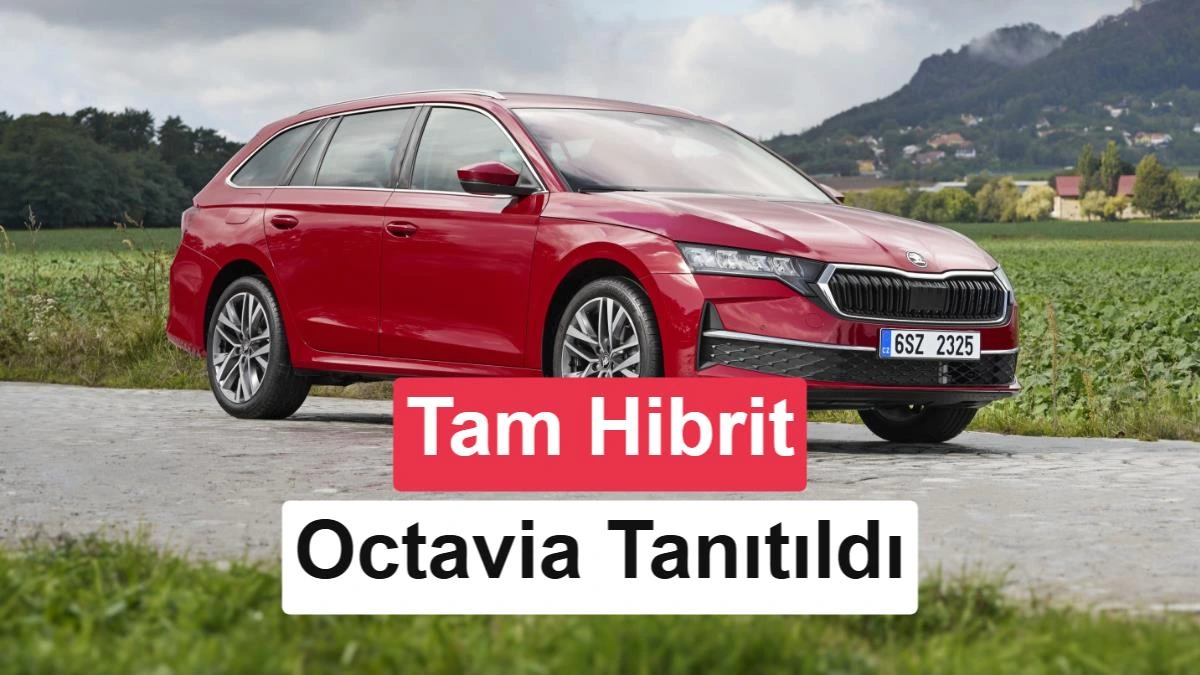 Kırmızı Skoda Octavia Combi, açık arazide önden ve yandan görünümüyle park halinde