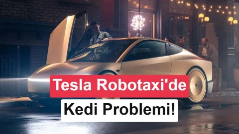 Musk: Robotaksiler için karanlıkta kedileri görmek zor