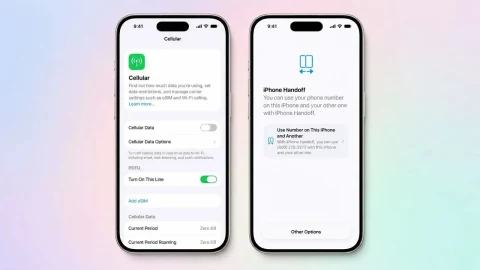 iPhone Handoff ayarlarını gösteren yan yana iki iPhone ekranı