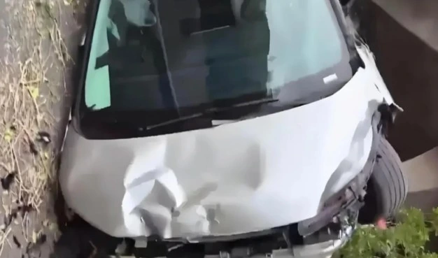 Ağacın yanında duran Xpeng X9’un ön kaputunda ve ön kısmında ağır hasar